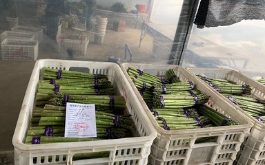 我縣開出首批《食用農產品合格證》，食用農產品初加工邁入規范管理新階段