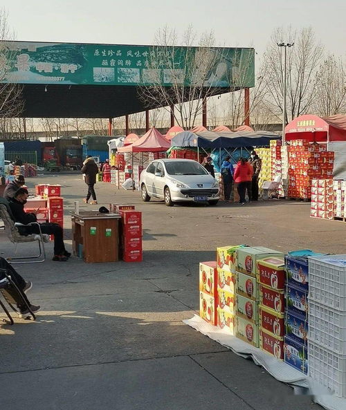 做水果生意，必須知道的5大水果一級批發市場與食用農產品初加工要點